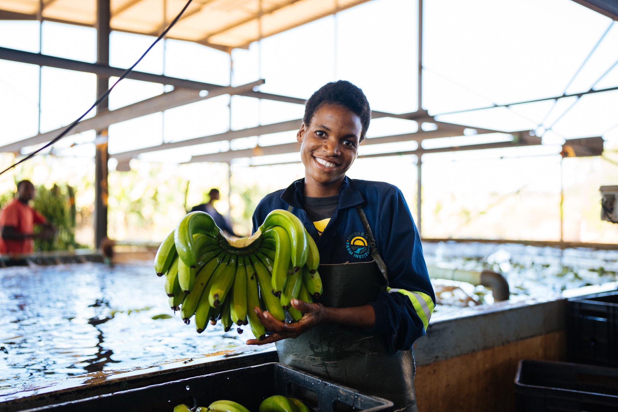 Worker at Riverside Farm Institute holding a bunch of green bananas in the processing shed