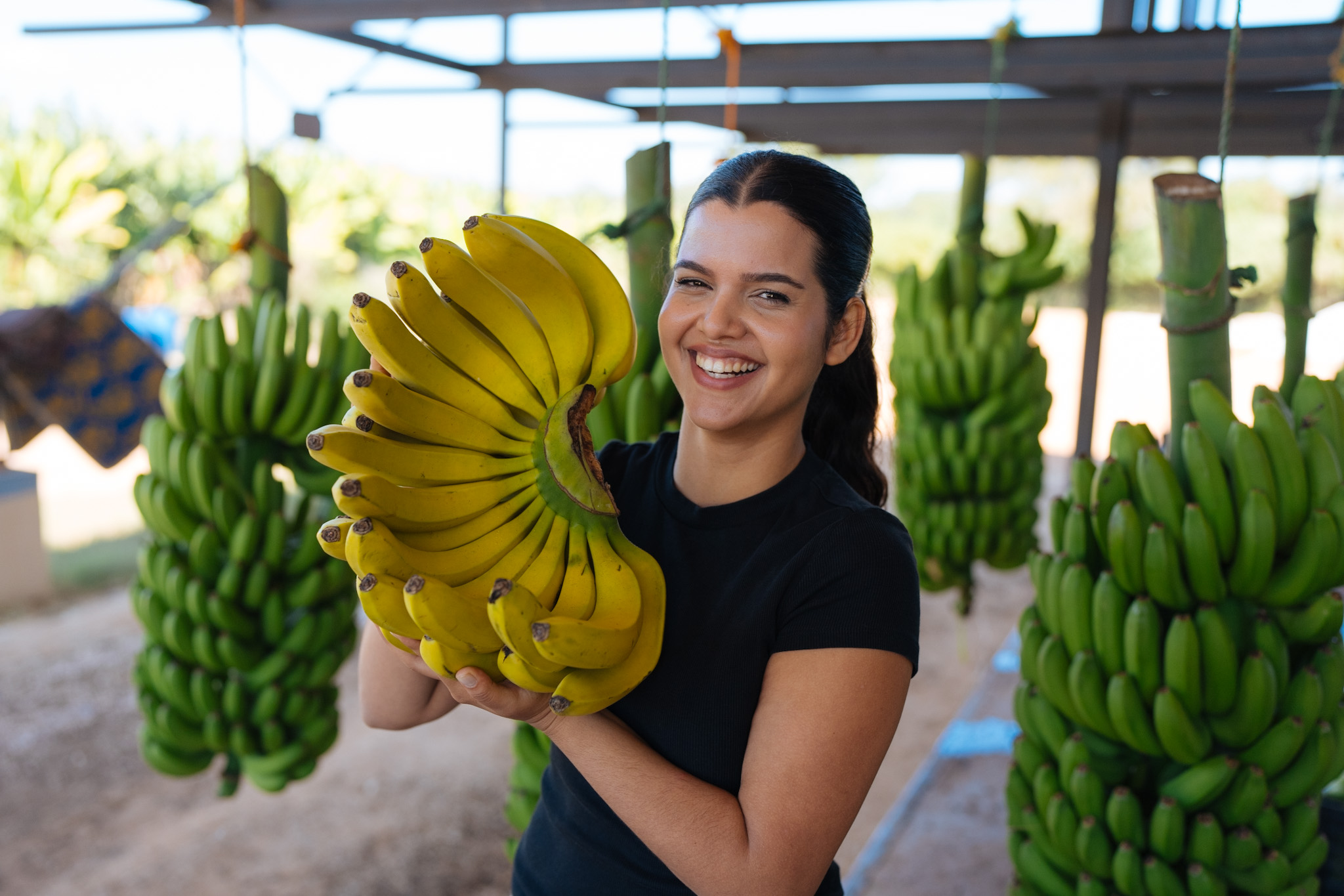 Worker smiling while holding ripe yellow bananas at the farm