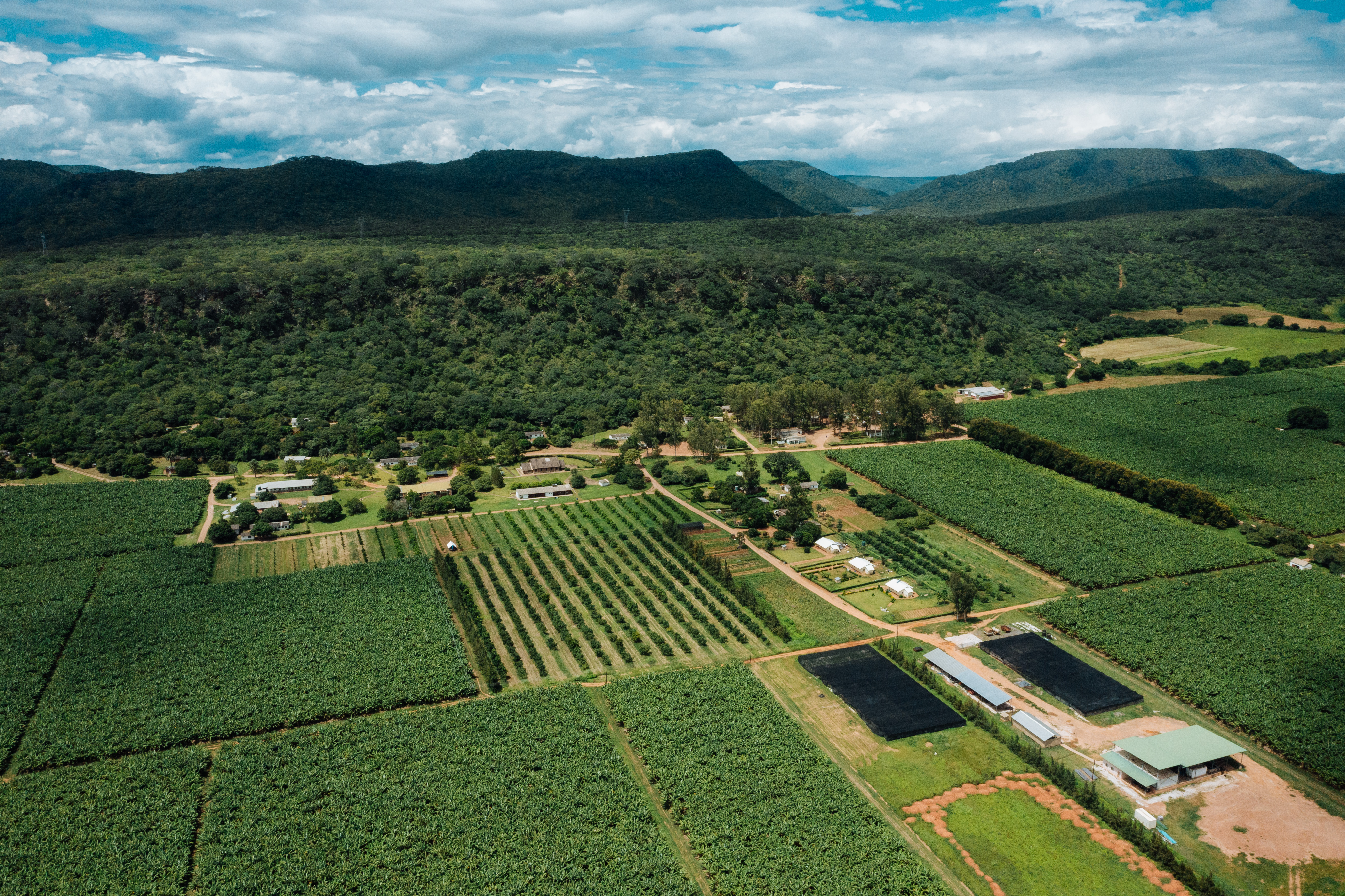 Riverside Farm photo 3