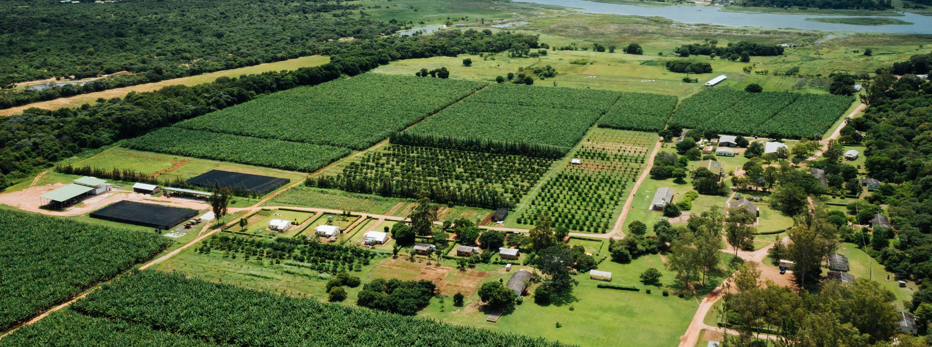 Center pivot irrigation on Riverside Farm soya fields